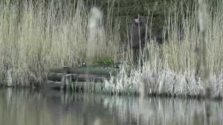 Carp Fishing  Free Spirit Lee Jackson Overnighters [upl. by Frederique]