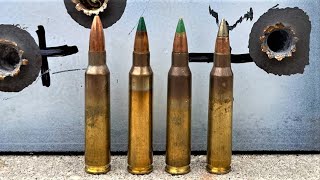 M855A1 vs M855 vs SS109 vs XM193 Crazy Results on Steel [upl. by Averir]