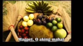 Municipality of Magpet Official Hymn  Awit Ng Magpet [upl. by Aihsila42]