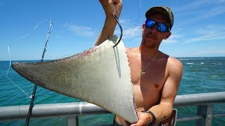 Dropping MASSIVE Baits for JETTY GIANTS [upl. by Diarmuid]