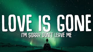 SLANDER  Love is Gone Lyrics ft Dylan Matthew Acoustic quotIm sorry dont leave mequot [upl. by Iruy]