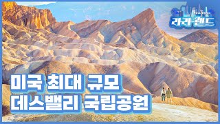 라라랜드 슬기로운 여행생활 – 우세린 작가 라디오코리아 보이는라디오 실시간방송 [upl. by Thorstein565]