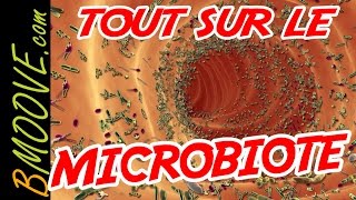 Comment AMÉLIORER et RECONSTRUIRE son MICROBIOTE intestinal [upl. by Esilec289]