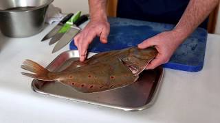 How to Prepare Plaice  Hastings Fish [upl. by Cora269]