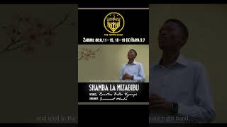 VERSE 4  SHAMBA LA MIZABIBU [upl. by Mcquoid]