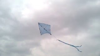 Rogallo kite 01 [upl. by Niwri]