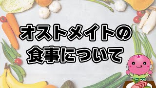 オストメイトの食事について [upl. by Johan]