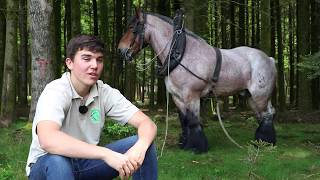 Antoine 17 ans débardeur et amoureux des chevaux de trait [upl. by Nerrag728]