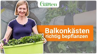 Balkonkästen bepflanzen Anleitung Tipps amp Tricks [upl. by Ihcego]