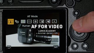 Auto Focus for Video  LUMIX Academy  S5 [upl. by Ettenwad]