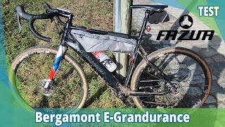 Bergamont EGrandurance Elite 2020  Elektrofahrrad24 TEST [upl. by Astor322]