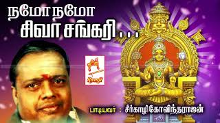 Seergali Govindarajan Devotional Song Namo Namo Siva Sankari நமோ நமோ சிவ சங்கரி [upl. by Innavoeg]