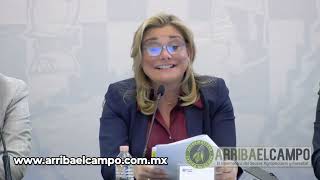 Emite Maru Campos Declaratoria de emergencia por Sequía para los 67 mpios [upl. by Flavia743]