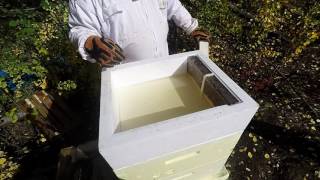 Beemax Hive Top Feeder Overview and Review [upl. by Angelico]