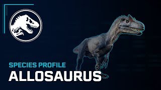 Species Profile  Allosaurus [upl. by Froemming]