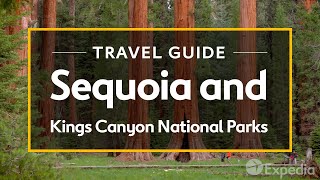 Sequoia and Kings Canyon National Parks Vacation Travel Guide I Expedia [upl. by Saul]