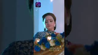 Ishq Ki Dastaan नागमणि  EP  02  Naagmani Shorts [upl. by Shipp]