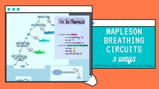 Mapleson circuits made easyMapleson breathing circuitsLearn with flow chart mnemonic and images [upl. by Naihtniroc59]