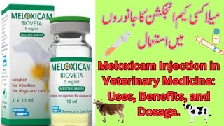 Meloxicam Injection in Veterinary Medicine Uses Benefits and Dosage [upl. by Rosalinde]