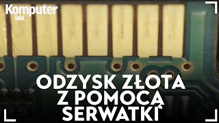 50 zł za każdą złotówkę  Oto nowa metoda na recykling złota z elektroniki [upl. by Ahseyn]