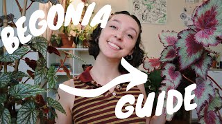 BEGONIA PLANT CARE  rex vs cane begonias how to propagate and everything else you NEED to know [upl. by Anitsirt866]