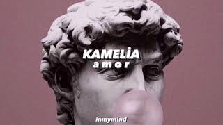 kamelia  amor  s l o w e d [upl. by Vandervelde]