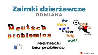 Zaimki dzierżawcze  odmiana  Niemiecki bez problemu  Niemiecki dla początkujących [upl. by Fitalludba]