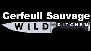 WILD KITCHEN  05  Le Cerfeuil Sauvage [upl. by Ruyle536]