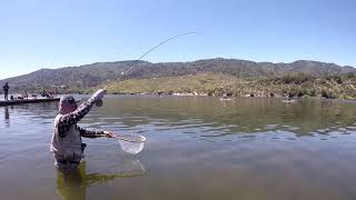 Silverwood Lake Fly fishing  CA [upl. by Merill405]