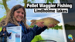 Pellet Waggler Fishing  Get a bite every Cast [upl. by Emsmus]