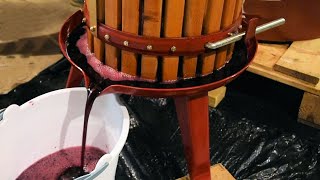 Home Winemaking From Grapes  Red Grape Wine and White Grape Wine  Demonstration and Tips [upl. by Oirramaj620]