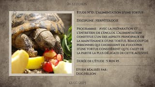 LALIMENTATION DUNE TORTUE  Bien nourrir une tortue [upl. by Mungo]