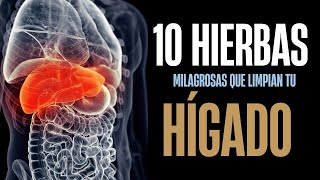 💚 10 Hierbas MILAGROSAS para Limpiar tu HÍGADO Naturalmente [upl. by Grussing]