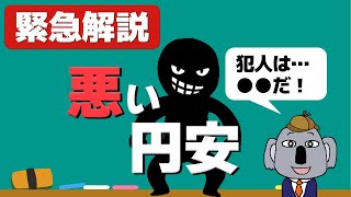 【危機】悪い円安の影響は？基本の知識から分かりやすく解説！ [upl. by Ahseina]