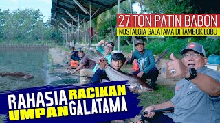 Rahasia Umpan Ampuh Galatama Ikan Patin [upl. by Slin]