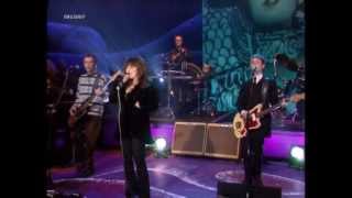 Ronettes Ronnie Spector  Dont Worry Baby Beach Boyslive 1998 HD 0815007 [upl. by Orford]