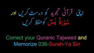 Memorize 036Surah AlYaseen Complete  10 times repetition [upl. by Plotkin]