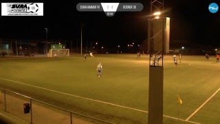 MATCH Surahammar FK  Bosnisk SK [upl. by Casta]