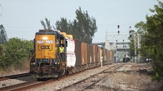 CSX Miami amp South Florida Trains  COMPILATION [upl. by Paapanen563]