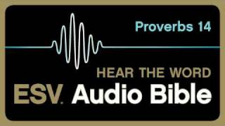 ESV Audio Bible Proverbs Chapter 14 [upl. by Yorel]