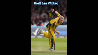 brett lee best bowling  brett lee best bowling action [upl. by Knight]