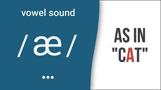 Vowel Sound  æ  as in quotcatquot  American English Pronunciation [upl. by Nwotna]