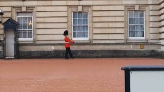 Guardsman in Trouble Over Buckingham Palace Pirouette  Forces TV [upl. by Katine]