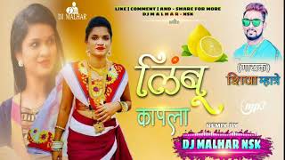 LIMBU KAPLAREMIX BY DJ MALHAR IN THE MIX NSK [upl. by Mobley]