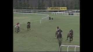 1984 Gainsborough Handicap Chase [upl. by Htaek277]