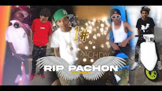 OG Sosa  RIP PACHON 1 🕊️💔 [upl. by Angelico]