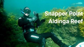 Snapper Point Aldinga Reef  Adelaide Freedive Tribe [upl. by Semreh899]