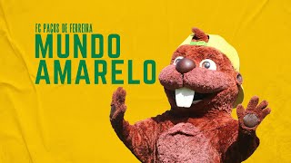 Mundo Amarelo  FC Paços de Ferreira [upl. by Toni999]