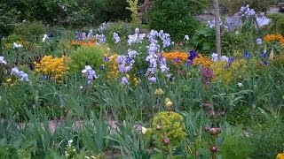 Monets Garden at Giverny 1452015 [upl. by Auqkinahs]