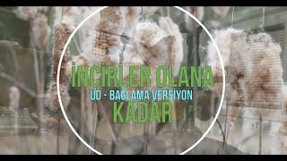 İncir İncirler Olana KadarEnstrumental Fon Müzik  Korg Pa4x by Kosovalı Arnavut [upl. by Peace]